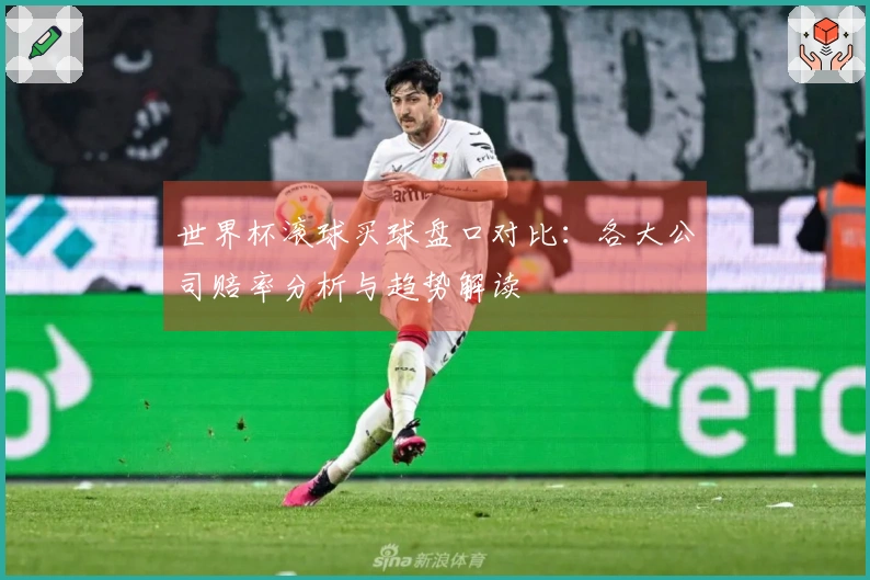 世界杯滚球买球盘口对比：各大公司赔率分析与趋势解读