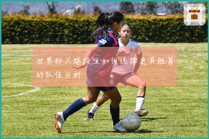 世界杯买球投注如何选择更具胜算的队伍分析