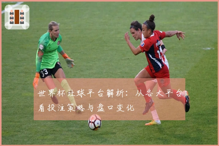 世界杯让球平台解析：从各大平台看投注策略与盘口变化