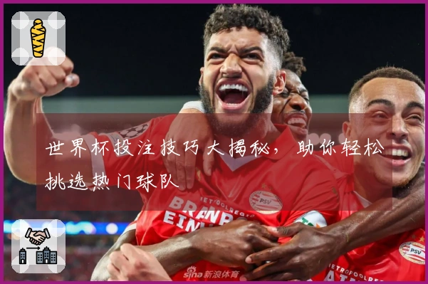 世界杯投注技巧大揭秘，助你轻松挑选热门球队