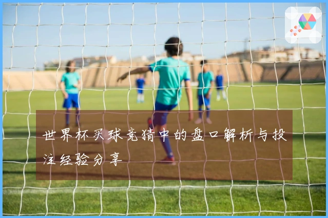 世界杯买球竞猜中的盘口解析与投注经验分享