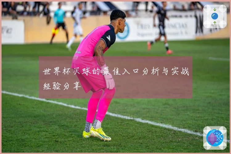 世界杯买球的最佳入口分析与实战经验分享