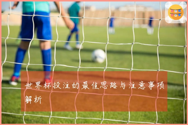 世界杯投注的最佳思路与注意事项解析