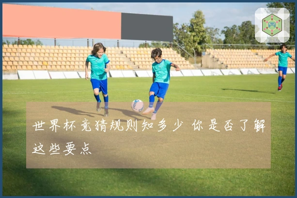 世界杯竞猜规则知多少 你是否了解这些要点