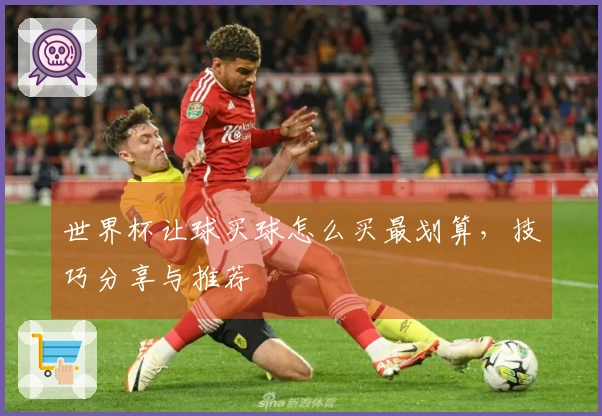 世界杯让球买球怎么买最划算，技巧分享与推荐