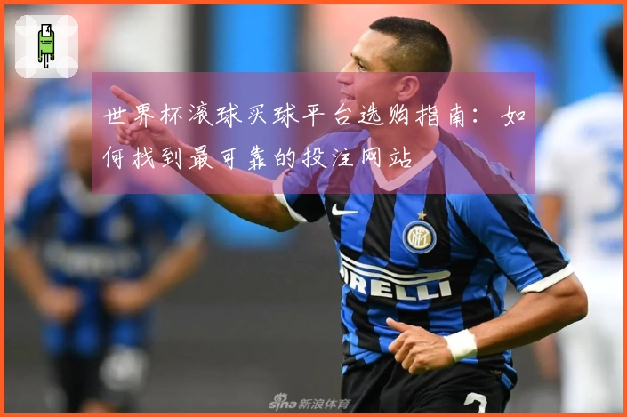 世界杯滚球买球平台选购指南：如何找到最可靠的投注网站
