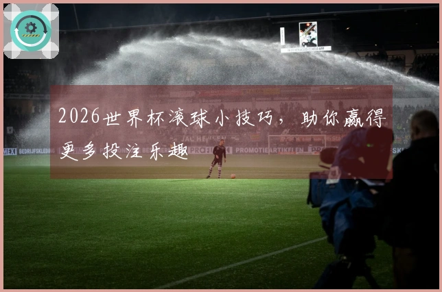 2026世界杯滚球小技巧，助你赢得更多投注乐趣