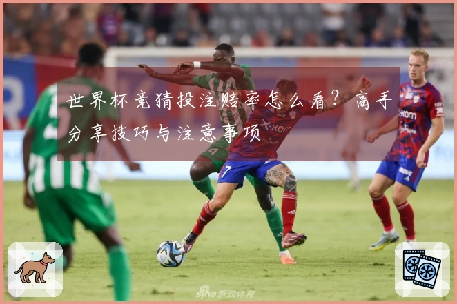世界杯竞猜投注赔率怎么看？高手分享技巧与注意事项