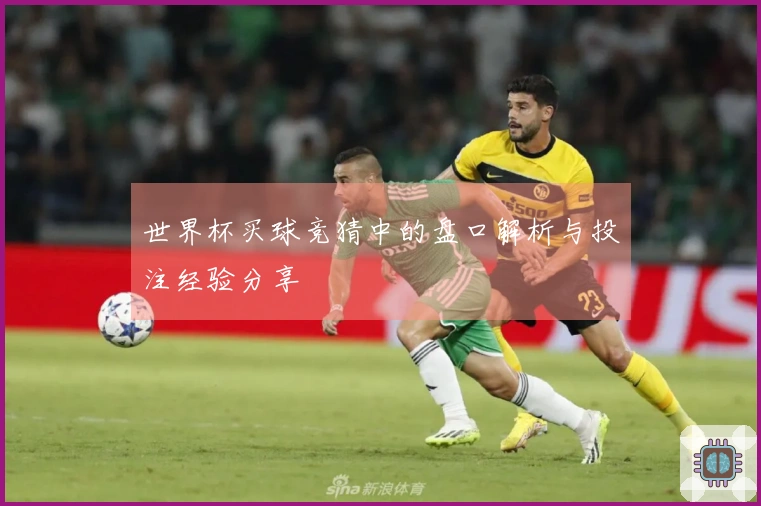世界杯买球竞猜中的盘口解析与投注经验分享