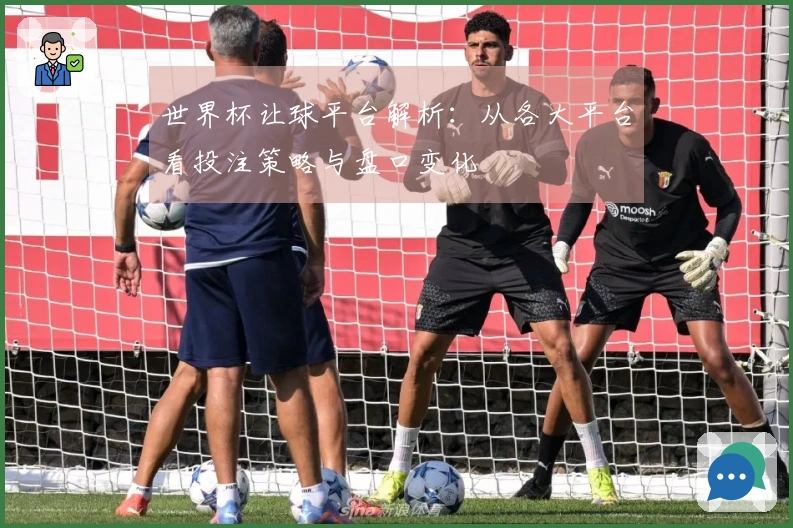 世界杯让球平台解析：从各大平台看投注策略与盘口变化
