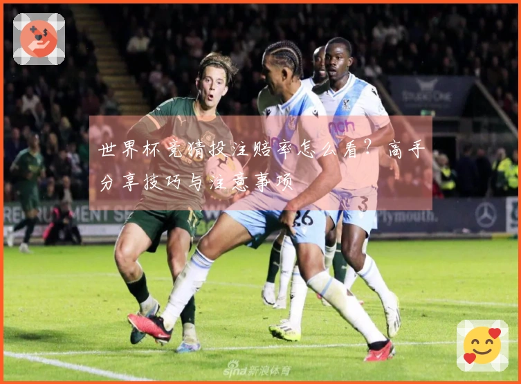世界杯竞猜投注赔率怎么看？高手分享技巧与注意事项