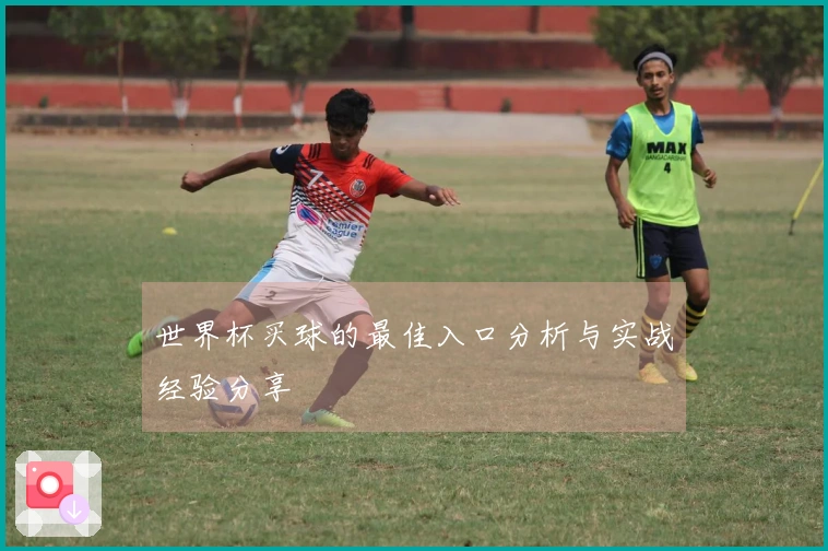 世界杯买球的最佳入口分析与实战经验分享