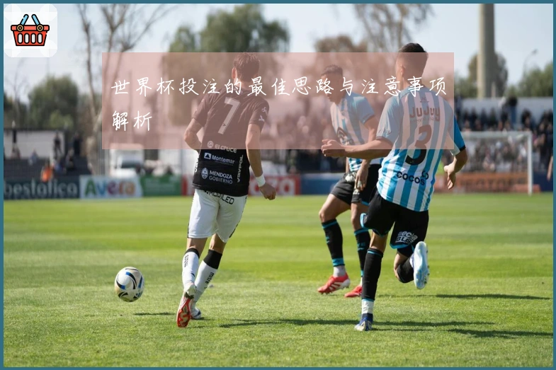 世界杯投注的最佳思路与注意事项解析