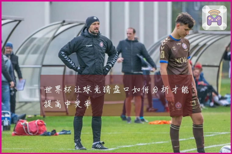 世界杯让球竞猜盘口如何分析才能提高中奖率