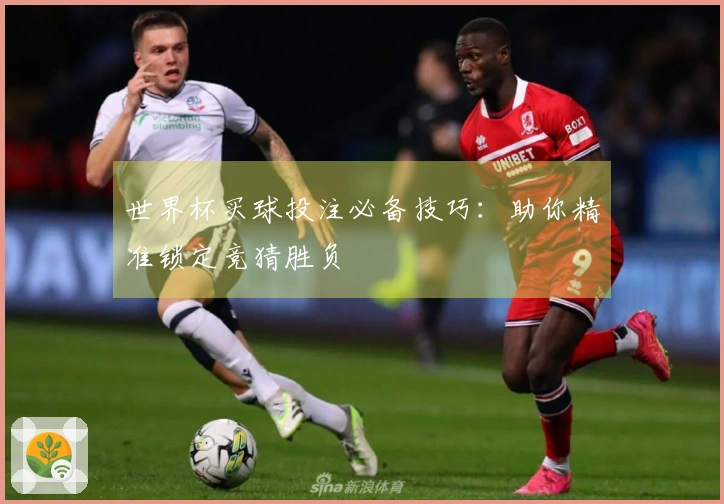 世界杯买球投注必备技巧：助你精准锁定竞猜胜负